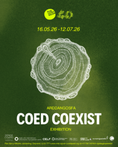I’m excited to share that my work will be part of the Coed Coexist exhibition at Plas Glyn-y-Weddw (16 May– 12 July 2026). Initiated by Plas Glyn-y-Weddw in partnership with Pen Llŷn artists Junko Mori & John Egan, the project reflects on the vital role of trees and woodlands and our connections to and responsibilities for these ecosystems.